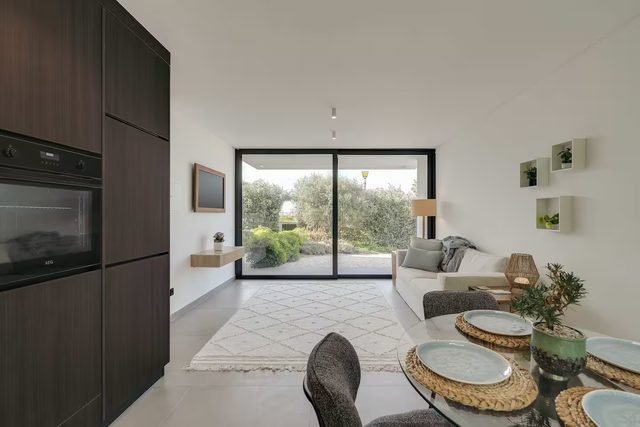 Living and dining area